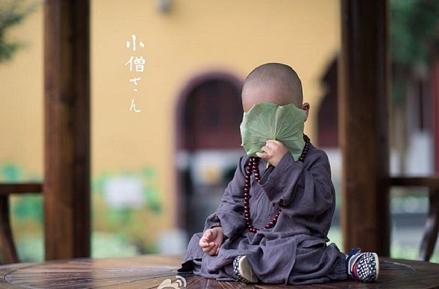 小和尚的故事 小和尚的故事寺庙大山我的偶像我也想家我的小情人我的