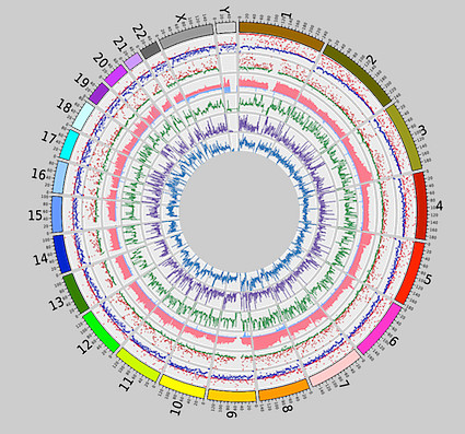 【盘点】癌症基因组亮点研究荟萃 癌症基因组图谱计划(the cancer