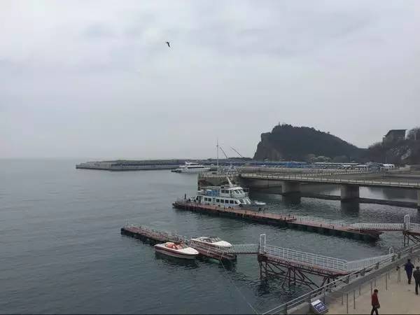 聚桐分析: 海昌海洋产品力优势调研:如何持续构