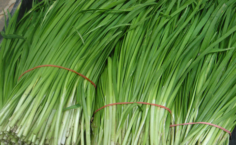 这届韭菜真不行,镰刀还没来,自己就先倒下了.