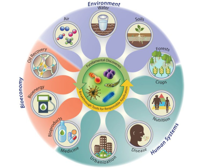 国泰中证全指软件ETF