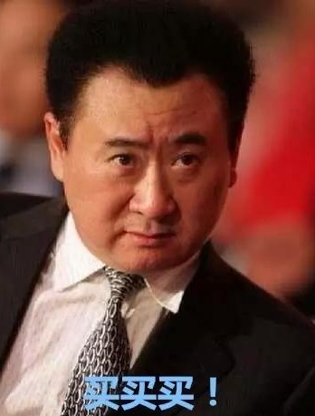 鲁能泰山_鲁能集团收入