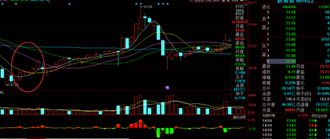 金木水火土QQ: 一年只做一只股票就够了