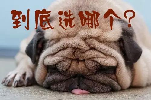 6-16 收评. 百花齐放,多板块龙头辈出.