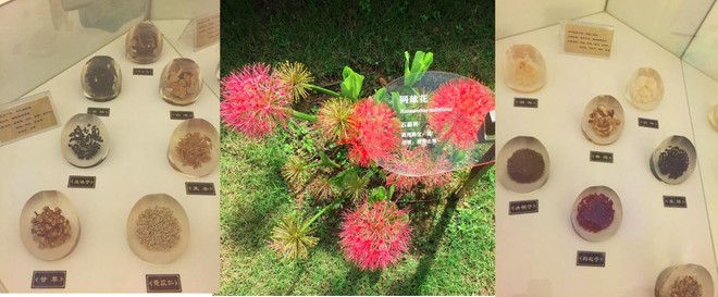 钱真理: 百亿无间道:无限极(中) 在上一篇文章中