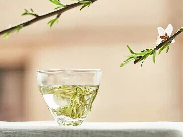 人生如茶,沉时坦然,浮时淡然