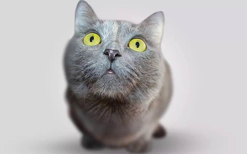 百毒不侵:祖国啊,我真心的想告诉你,我们拖你大腿了阿三不转:哎呦喂