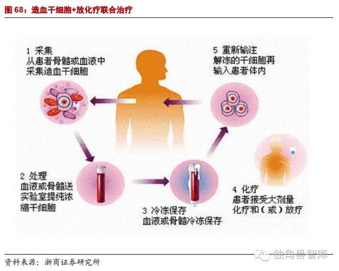 独角兽智库: 【研报】干细胞治疗-生命再生奇迹,无可替代技术(下) 目录 1 、再生医学与干细胞--多重刺激下,将火热发展 2 、干细胞分类和干细胞存储市场分析 3 、干细胞相关公司:聚焦 - 雪球