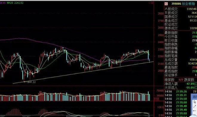 淘金热人口多样性_淘金热2硬盘版下载 绿色游戏687人反馈很棒(2)