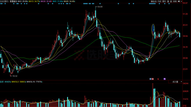 选股宝: 华泰荣超中心:不是割肉王但手法确实