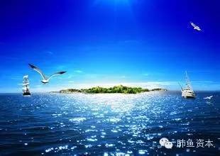 肺鱼资本: 价值投机肺鱼2式:如何只做两只股票