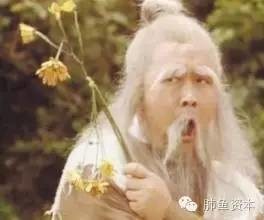 肺鱼资本: 价值投机肺鱼2式:如何只做两只股票