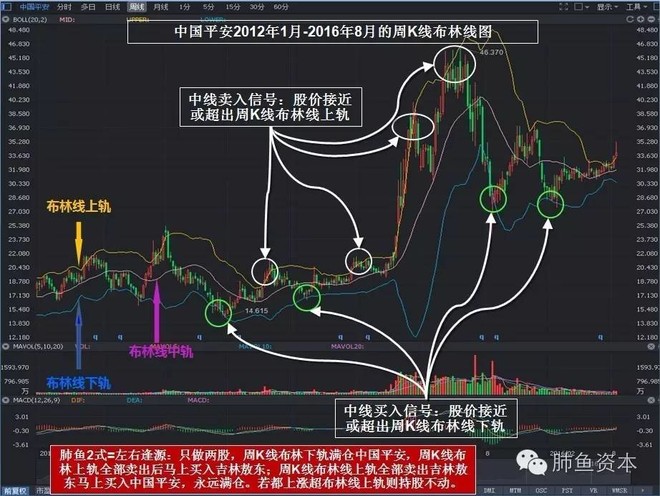 肺鱼资本: 价值投机肺鱼2式:如何只做两只股票