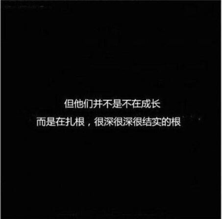 156db4836a17123f820e3a01.jpg!custom660.jpg
