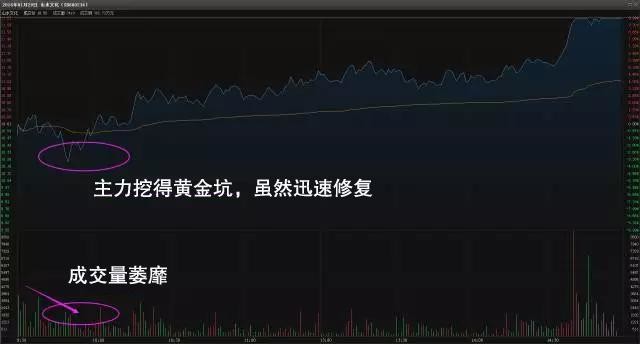 何涛欢: 一位炒股天才盈利多年,只因领悟了超短