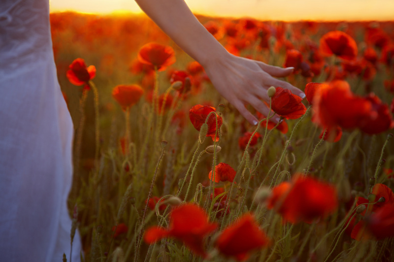 徒步三万里: 【投资笔记·基金·FOF配置】借