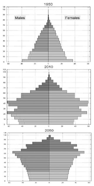 19年中国人口性别_2020年中国人口结构图(3)