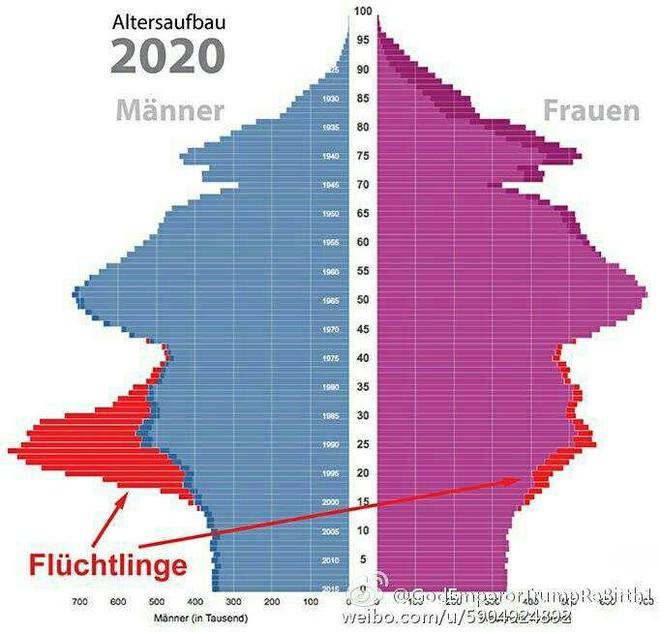 德国人口结构_德国人口结构图