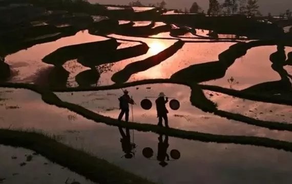 超级奶爸xujunhorse: 我的2016 《庚戌岁九月中