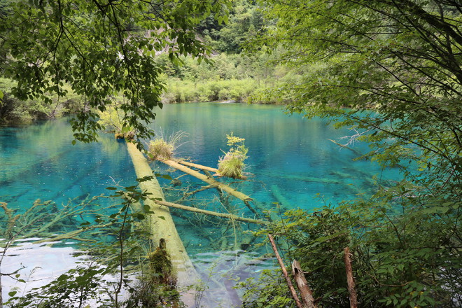 克里马擦: 2016滑铁卢 2016年过去了,我共有大