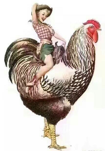 2016,被猴耍了一年; 2017,好好把握鸡会; 要不然2018就要累成狗; 再