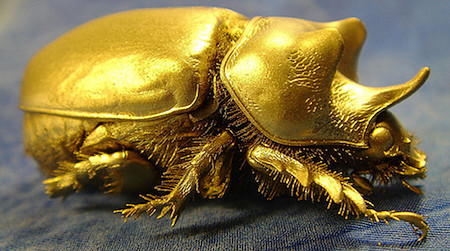 金甲虫goldbug And Speculation Goldbug Gold Bug 本意为gold Beetle 金