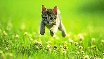 Passion启航: 耐心等待 本文作者: 霍华德·马克