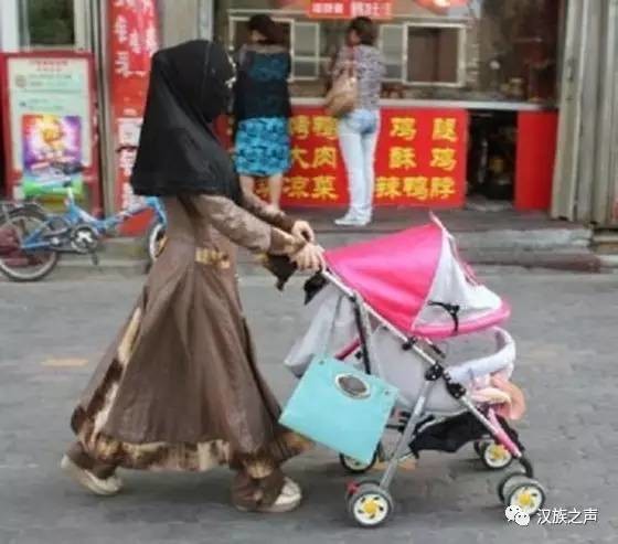 gdlz: 转:中国西北伊斯兰化日趋严重! 来源:汉族