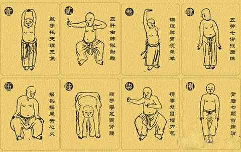 回撤控制哥:筋长一寸