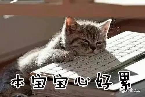 云: 滚滚长江壳已远,浪花淘尽死脑筋! 当注册制