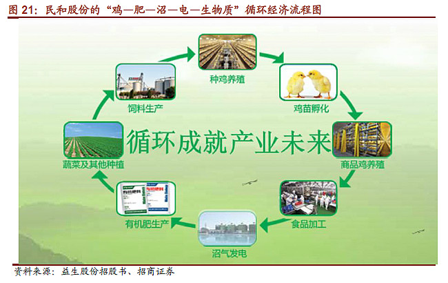 圣农全产业链图片