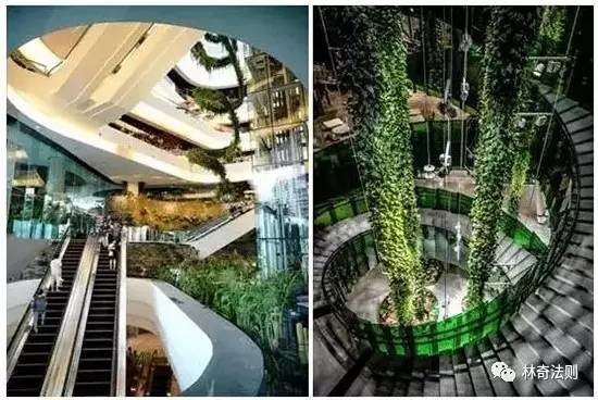 林奇法则: 恒隆地产年报点评及对零售业的一些