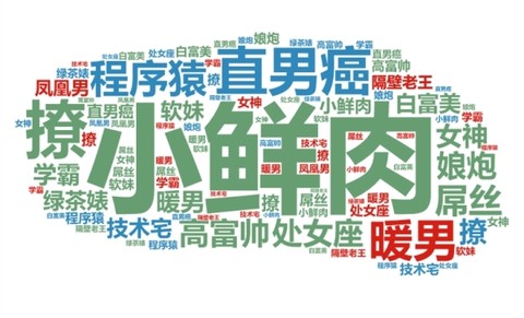 网络热词,网络流行词,网络热图带文字(第14页)_大山谷图库