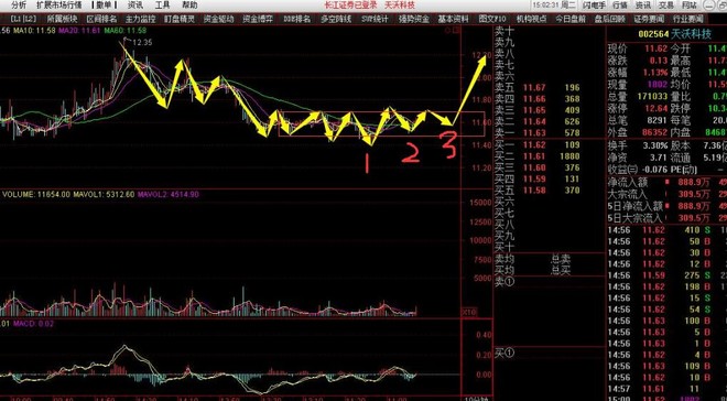个人收入证明_个人收入 内容(3)