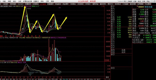 个人收入证明_个人收入 内容(3)