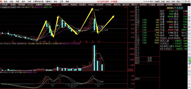 个人收入证明_个人收入 内容(3)