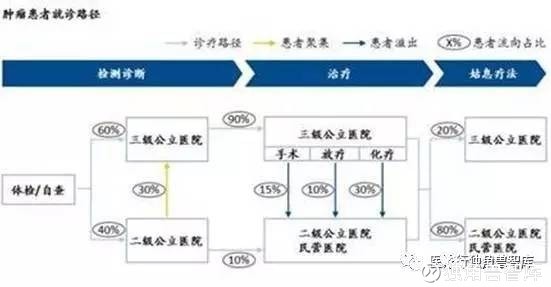 gdp方案化疗_非小细胞肺癌化疗方案