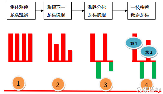 索巴神: 【主题投资方法论二】概念炒作多龙头