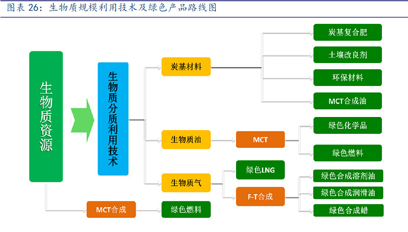 2026-2030年马铃薯深度研判、竞争格局与投资机会分析(图1)