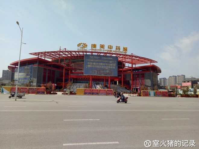 室火猪的记录: 太安堂(亳州地产)见行 清明小长