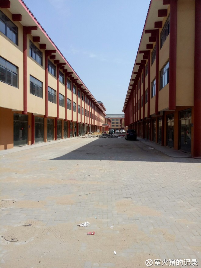 室火猪的记录: 太安堂(亳州地产)见行 清明小长