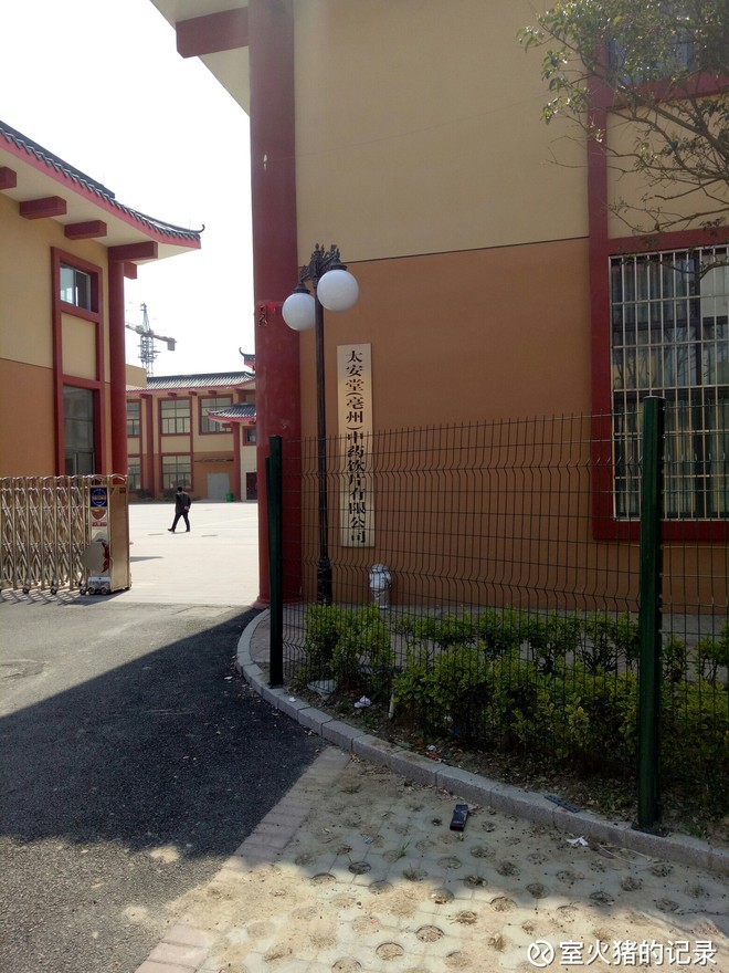 室火猪的记录: 太安堂(亳州地产)见行 清明小长