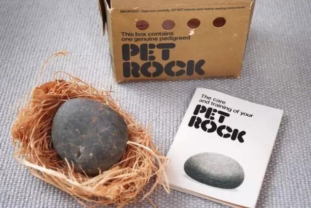 jincuodao: 他把路边的石头卖给人当宠物养,半年