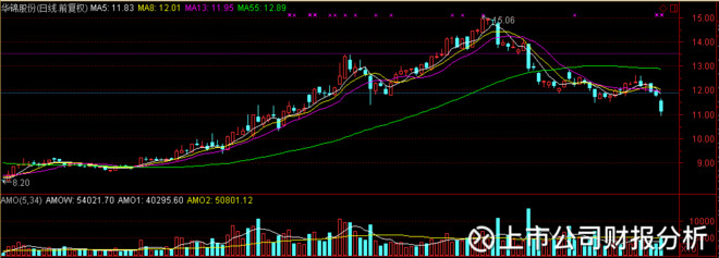 公司财报分析: 深度分析财报告诉你,华锦股份或
