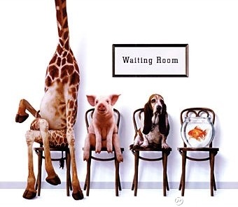 阿贵龙门客栈: 你我皆凡人 --致证券市场高尚