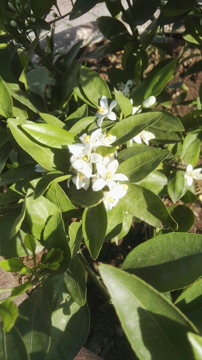 睡前一帖:非理性中的理性一一铁流股份