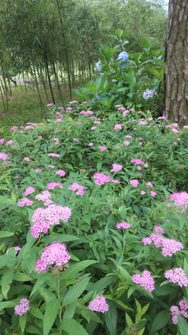 棠爸2008: 《大败局II》读后感(转之网络)(2017