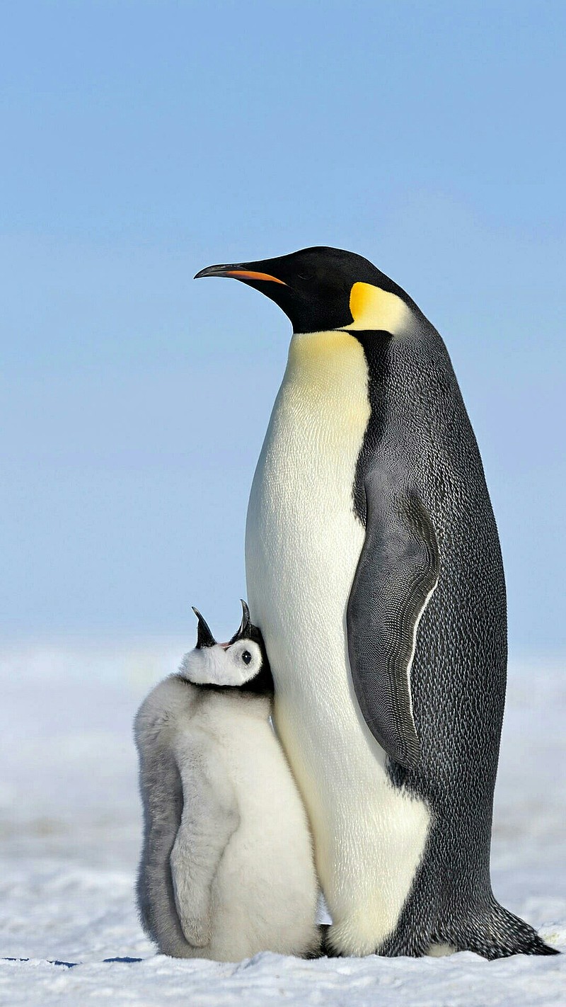 五穷六绝七翻身,不可不信,谨防日线二次下杀探底,这个位置下杀比上涨