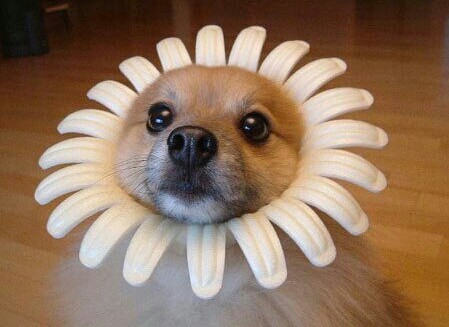 四川辣妹子:$神开股份(sz002278)$$石化机械(sz000852)$