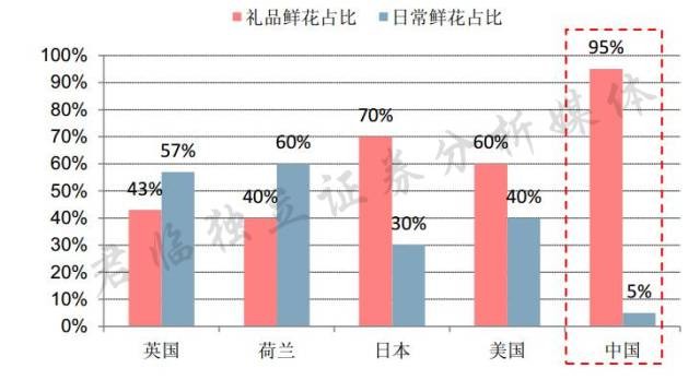 荷兰人GDP_飞翔的荷兰人号图片(3)